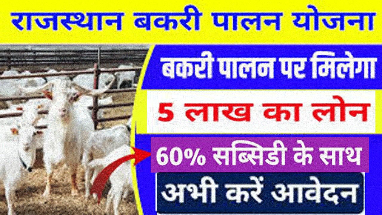 बकरी पालन लोन सब्सिडी राजस्थान - Rajasthan Bakri Palan Loan Yojana 2024 alt=