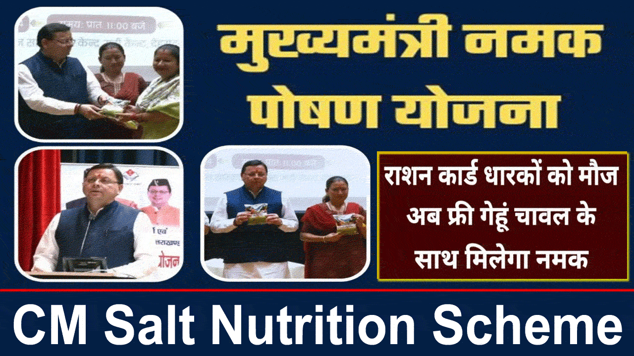 chief minister salt nutrition scheme