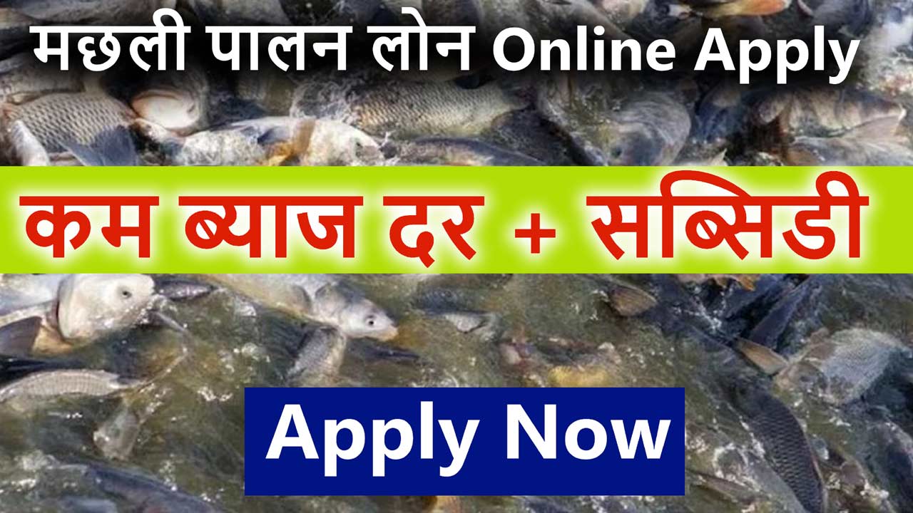 मछली पालन लोन कैसे लें, मत्स्य पालन लोन | How to get fish farming loan